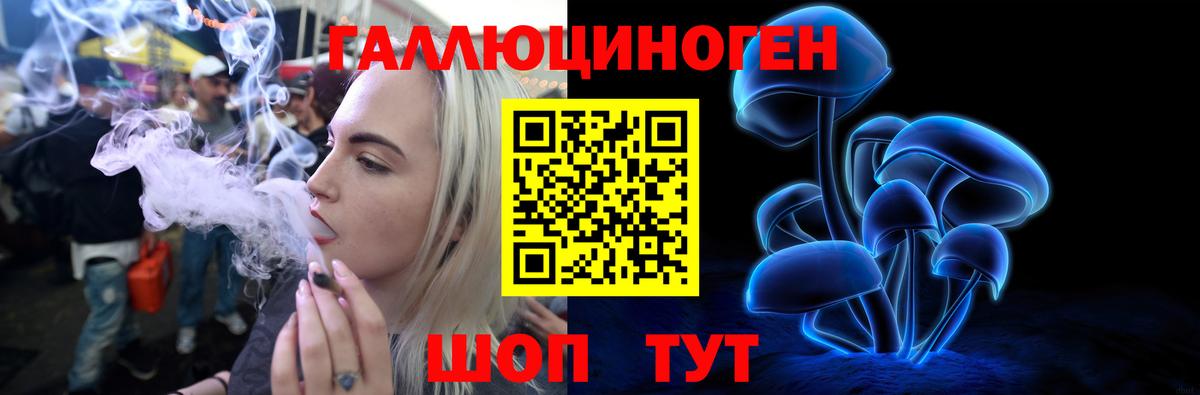 Галлюциногенные грибы мицелий Верхняя Пышма